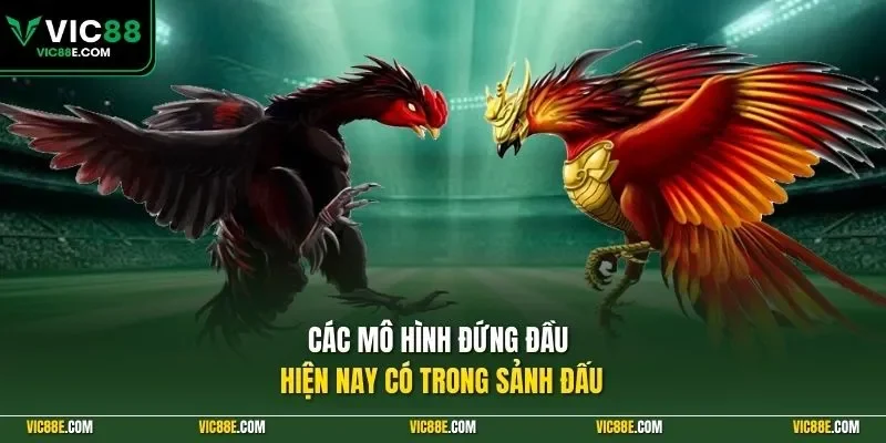 Các mô hình đứng đầu hiện nay có trong sảnh đấu