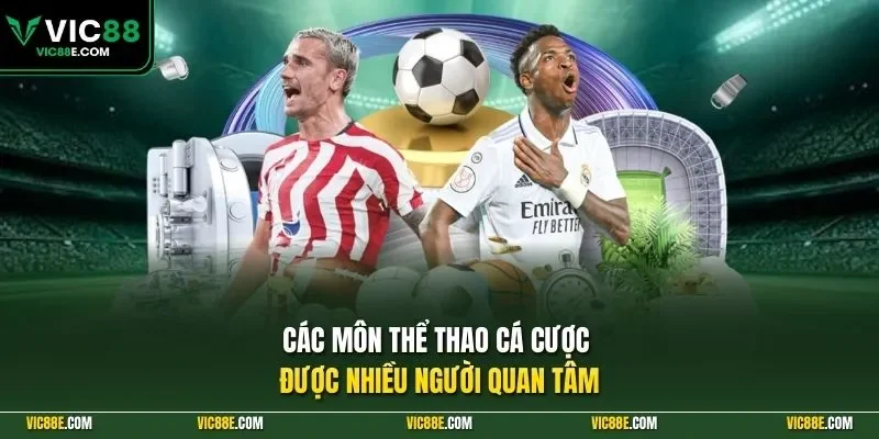 Các môn cá cược được nhiều người quan tâm