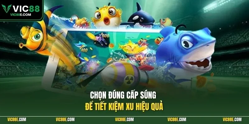 Chọn đúng cấp súng để tiết kiệm xu hiệu quả