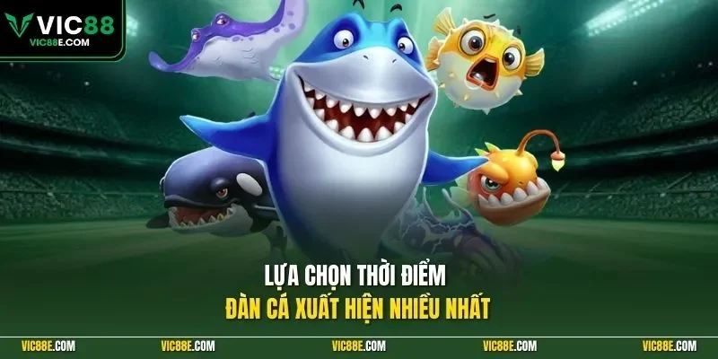 Lựa chọn thời điểm đàn cá xuất hiện nhiều nhất