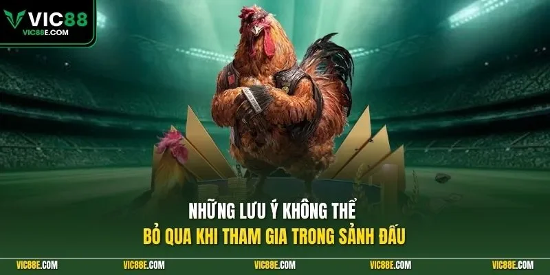 Những lưu ý không thể bỏ qua khi tham gia trong sảnh đấu