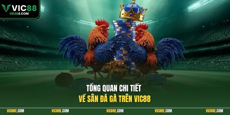 Tổng quan chi tiết về sân đá gà trên VIC88