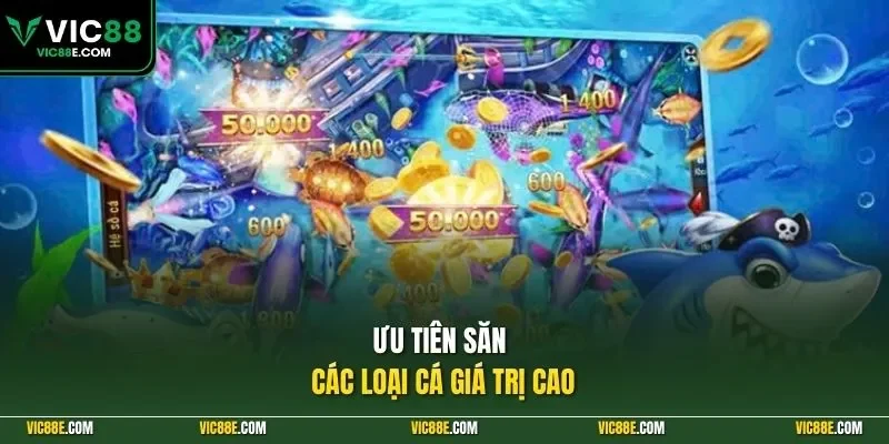 Ưu tiên săn các loại cá giá trị cao